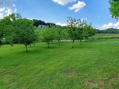 2459 Bacon Creek Rd