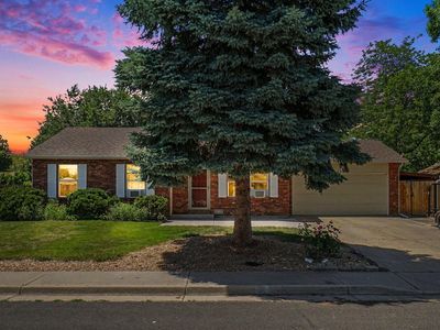 253 Blossom Dr