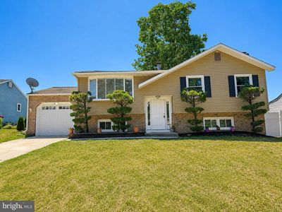 11 Lanark St