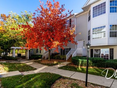 31 S Treehouse Ln UNIT 31