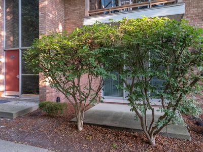 1245 Island Dr APT 102