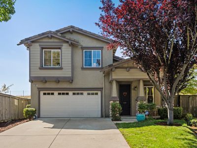 1096 Flowering Ash Dr