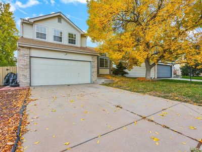 10318 Severance Drive