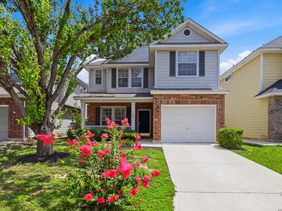 1026 Windmill Palm