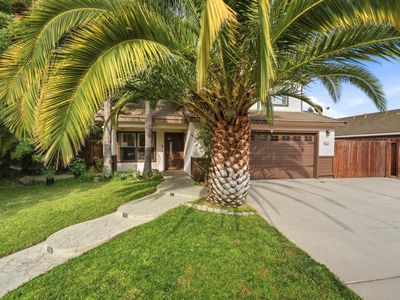 4420 Dandelion Ct