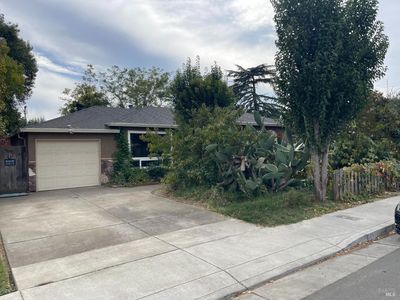 11 Bryan Avenue