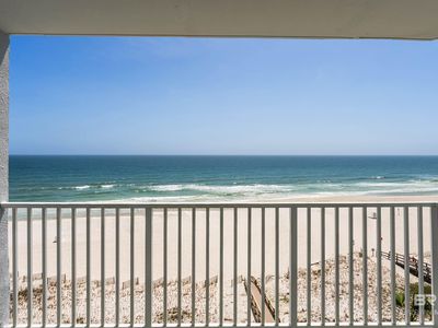 24114 Perdido Beach Blvd APT 704