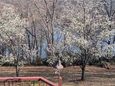 832 Atalanta Dr