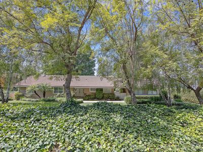 871 Encino Vista Dr