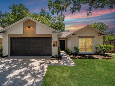 4639 Cabbage Palm Dr