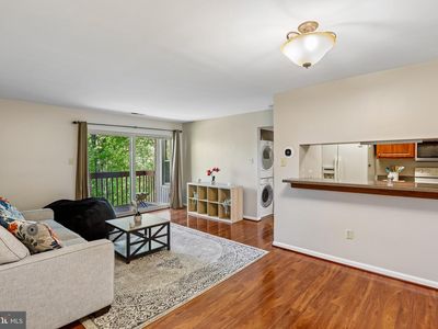4 Banyan Wood Ct APT 203