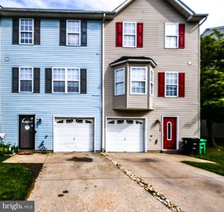 7031 Migliori Ct