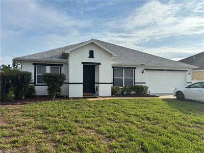 8031 Liriope LOOP