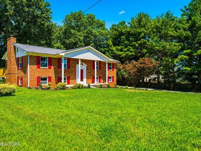 428 Phyllis Cir