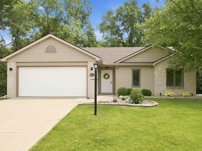 312 Silver Maple Cv