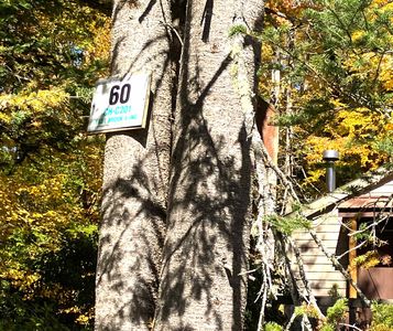 Property at 60 E Brook Crossing #C-201, Wilmington, VT