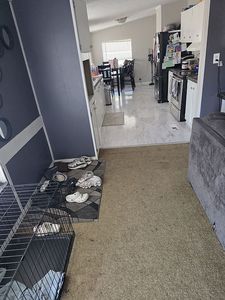 1245 County Road 40 W