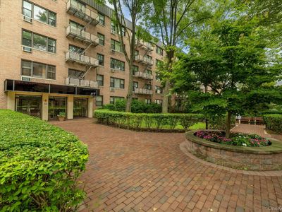 6 Birchwood Court #3B