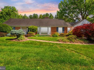19022 Cherry Tree Dr