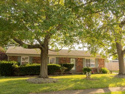 203 Hutchins Dr