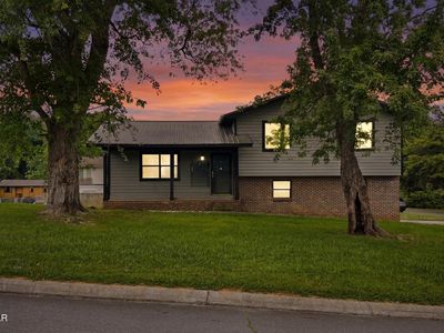 459 Water Oak Dr