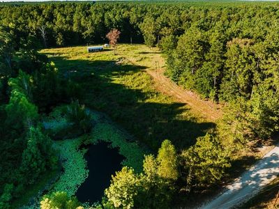 141 Buford Lashley Rd