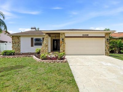 12836 Pine Way Dr