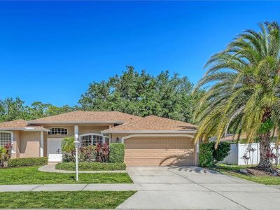 3521 Branch Creek Dr