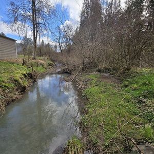 14540 NW Cornelius Pass Rd