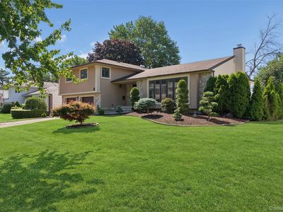 51 Dogwood Road