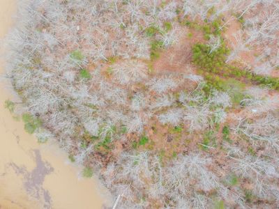 Property at 158 Eagle Pointe Shores Dr, Pittsville, VA