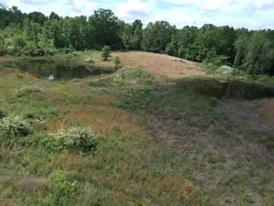 380 County Road 1207