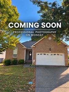 134 Willowleaf Ln