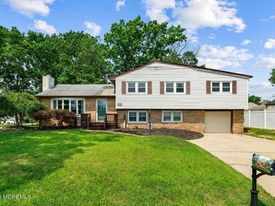 46 Newman Drive