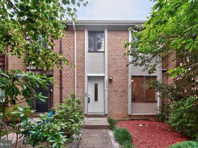 6584 Sweet Fern
