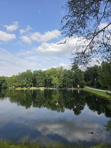 292 David Crockett Rd #46/47
