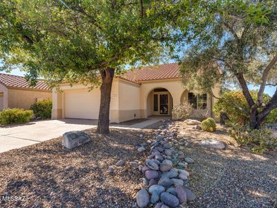 13853 N Lobelia Way