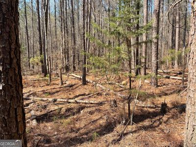 Property at 0 Joe Cook Rd, Franklin, GA