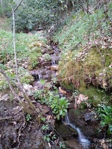 617 Barkers Creek Rd