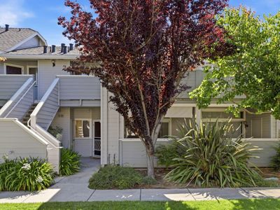 542 Shadowgraph Dr