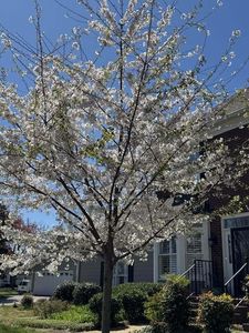 1296 Heritage Landing Dr