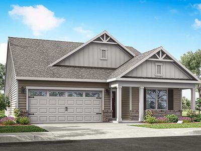 Newcastle Plan, Canal Heights