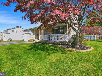 43 Ashfield Dr