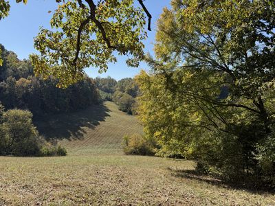 Property at 0 Robinson Rd LOT 8, Frankewing, TN