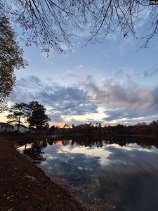 405 Magnolia Tree Rd