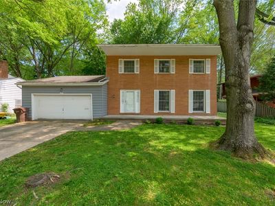 431 Wilson Ave
