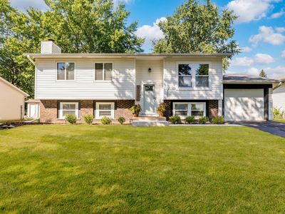 217 Butternut Dr