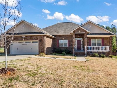 141 Tall Fern Loop