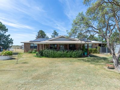 226 County Road 226