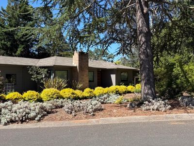 3 Rosemont Circle